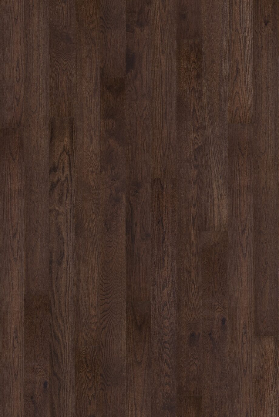 Parquet Tarkett, Shade, Oak Cumin MidiPlank, 1-strip, 2 sides bevelled, Proteco Natura mat lacquer