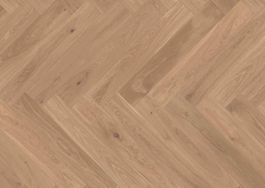 Parquet Oak, ter Hürne, oak light beige, herringbone, brushed, beveled, white natural oil-treated