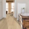 Elegant house hallway with commode