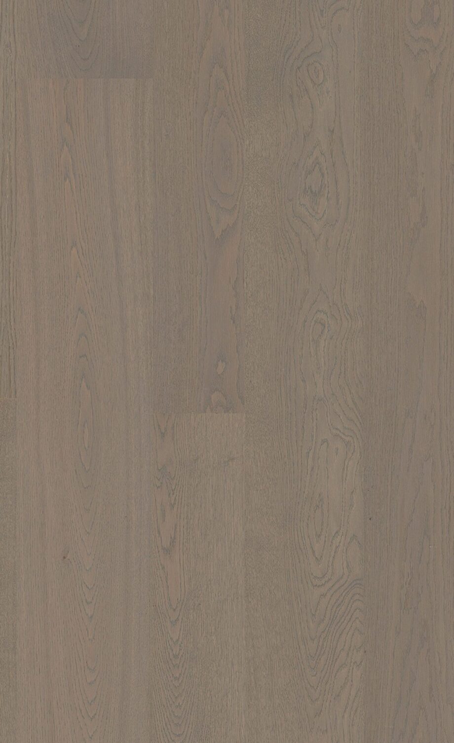 Parquet Oak Pea 4 sides beveled, brushed, matt lacquered