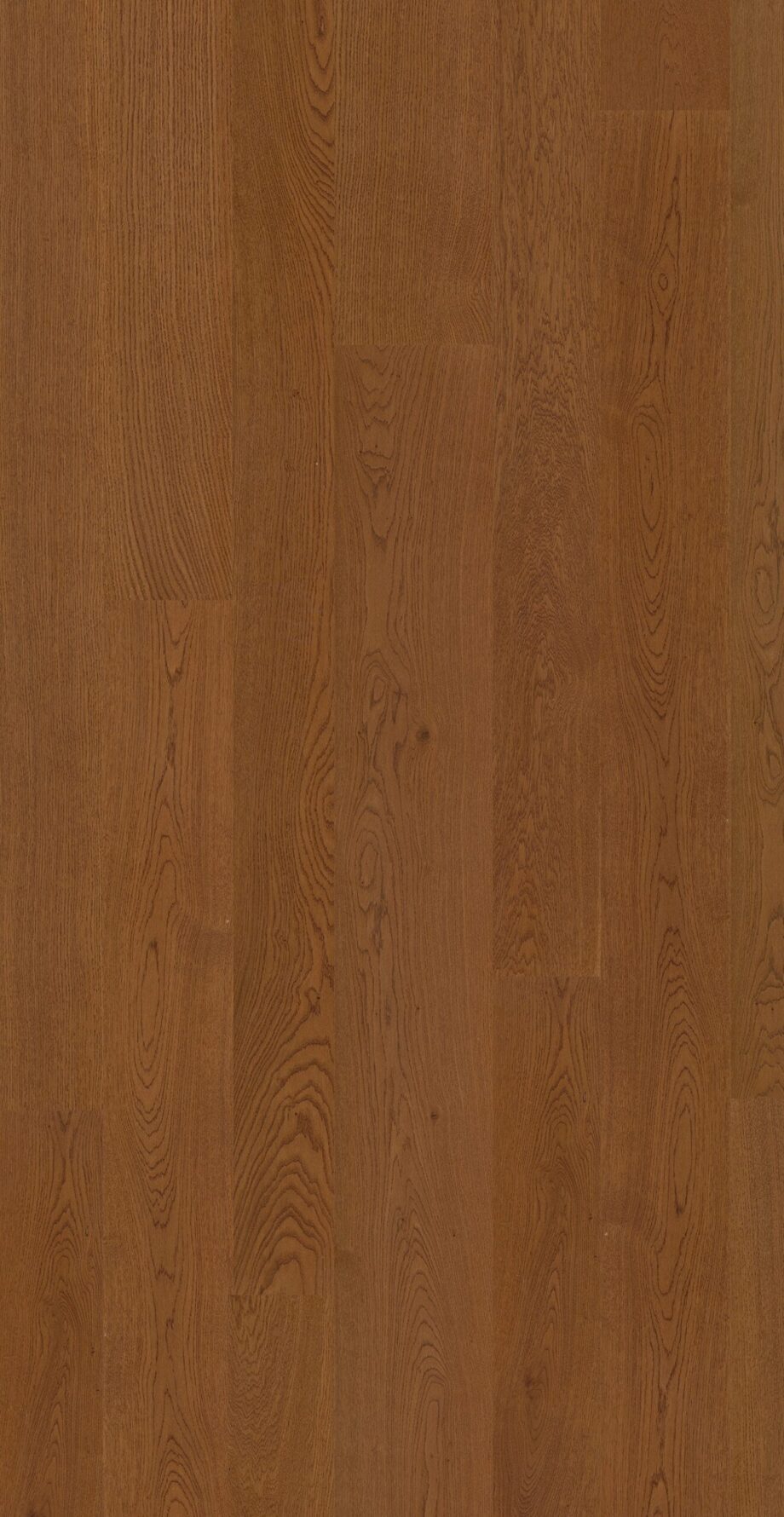 Parquet Oak Jas 4 sides beveled, brushed, matt lacquered