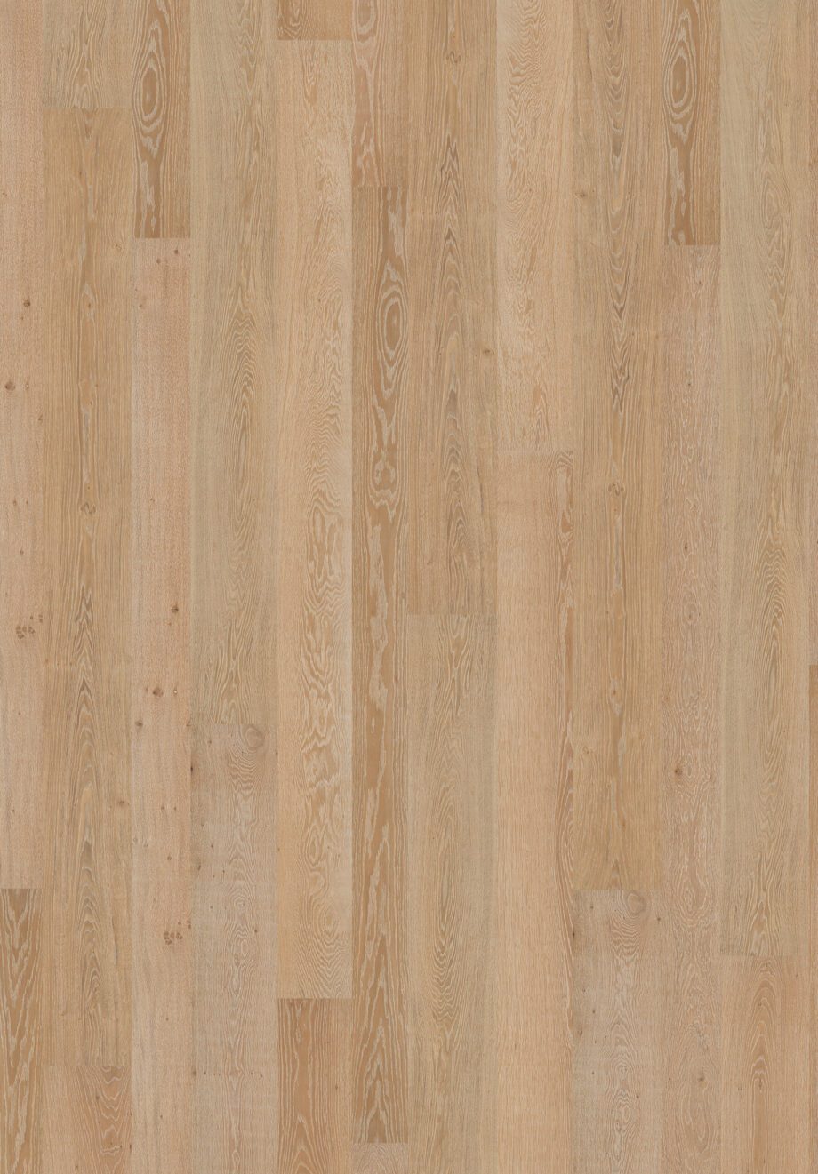 Parquet Oak Aral Vulcano Ge 4 sides beveled, brushed, matt lacquered