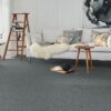 carpet-flooring-tretford-interland-649-gravel