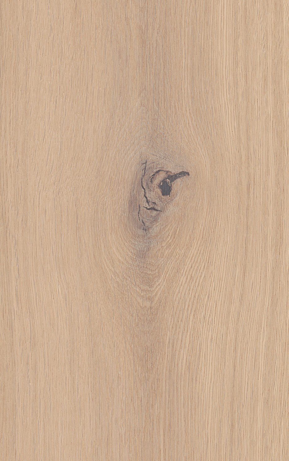 Parquet Oak Rustical 1-strip brushed white matt lacquered 189mm