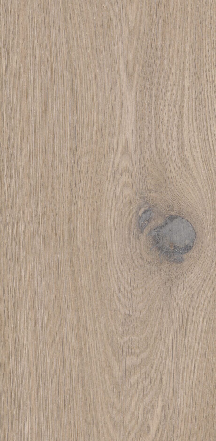Parquet Oak Rustical 1-strip beveled brushed white oiled 148mm – 2