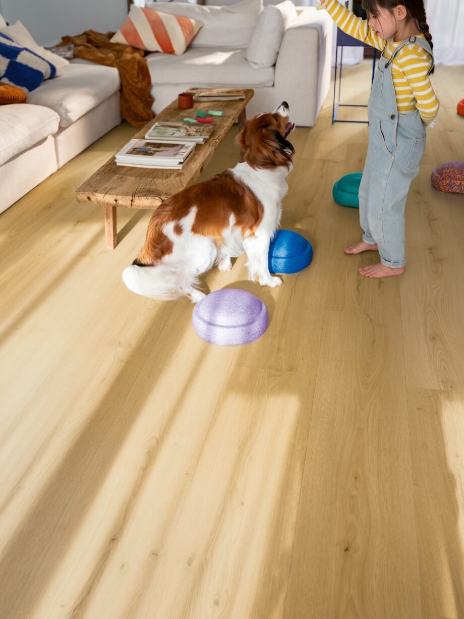 lvt-porandakate-quick-step-bloom-brushed-oak-honey LVT põrandakate Quick Step Bloom brushed oak honey paigaldatud elutoa põrandale. Tüdruk, koer, telekalaud, diivan.