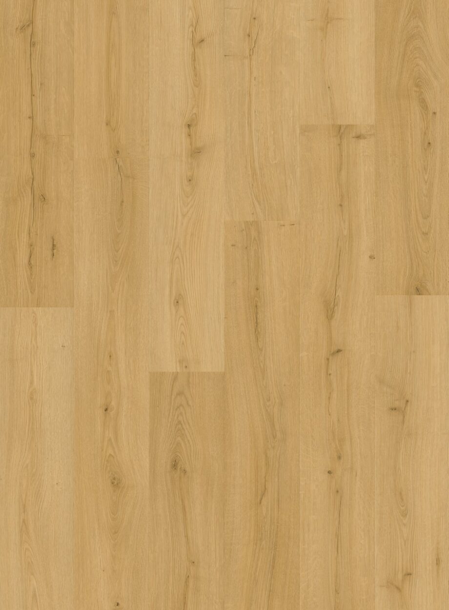 vinyylilattia-quick-step-bloom-brushed-oak-honey Vinyylilattia Quick Step Bloom Brushed Oak Honey, lämmin hunajainen tammen sävy ja harjattu tammikuviointi.