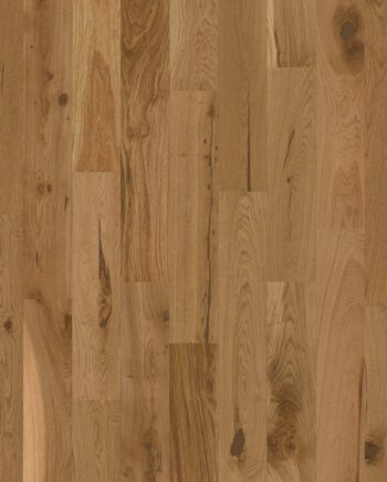 Wooden floor Bauwerk Budget Cut Oak 56 oil waxed 138mm