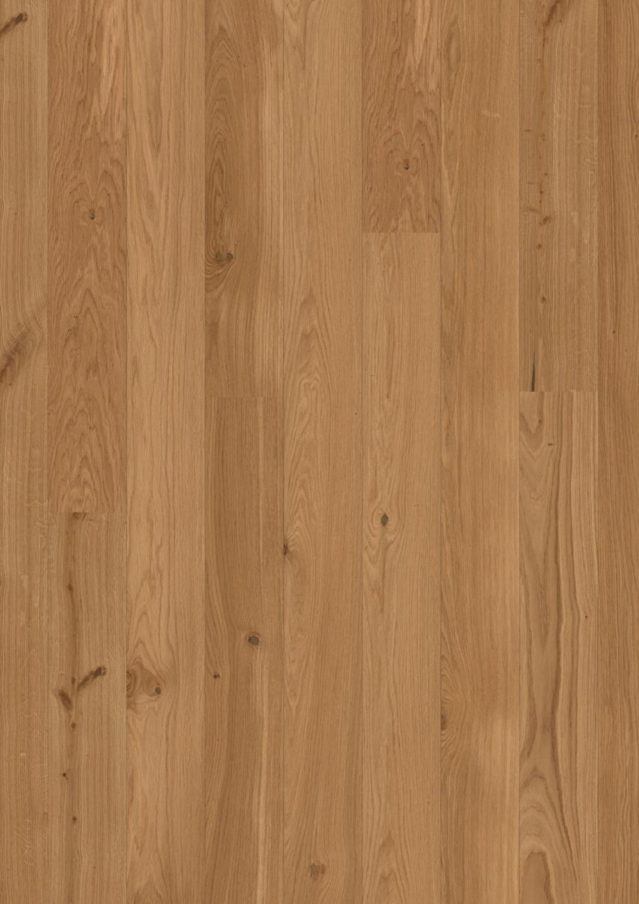 parkett-bauwerk-casapark-budget-cut-tamm-35-harjatud-matt-lakk Parkett Bauwerk Casapark Budget Cut tamm 35 harjatud matt lakk naturaalse tamme tooni ja kergelt rustikaalse sorteeringuga.