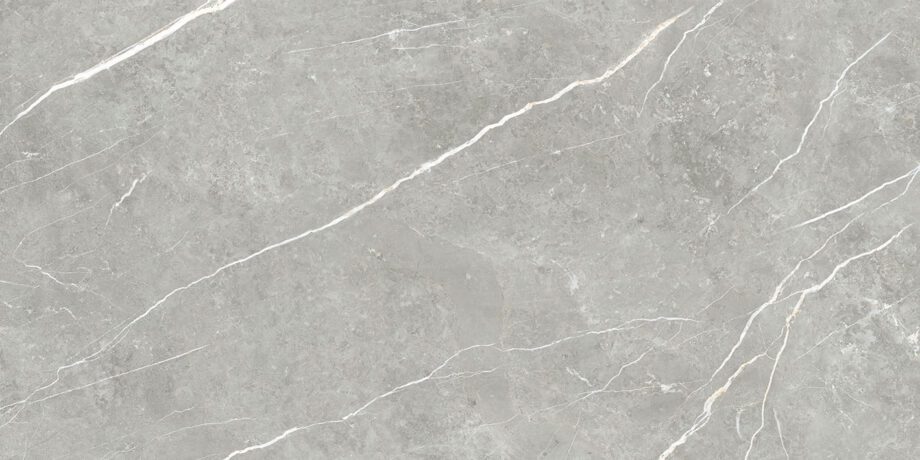 004.869.0368.07981-1 Marmorefektiga poleeritud keraamiline põrandaplaat Tau Elite Gray Pol, 60x120 cm, 10,5 mm, hall, rektifitseeritud
