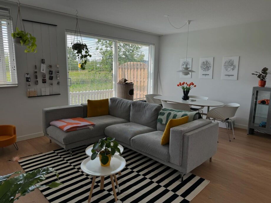 Tugevdatud südamikuga LVT vinüülparkett Floorify XL Plank Frangipane F095 2 Tugevdatud südamikuga LVT vinüülparkett Floorify XL Plank Frangipane F095