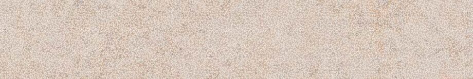 abk-psr-0017569-1