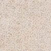 abk-psr-0017569-2