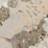abk-sensi-nuance-0014964-1 abk-sensi-nuance-0014964-1