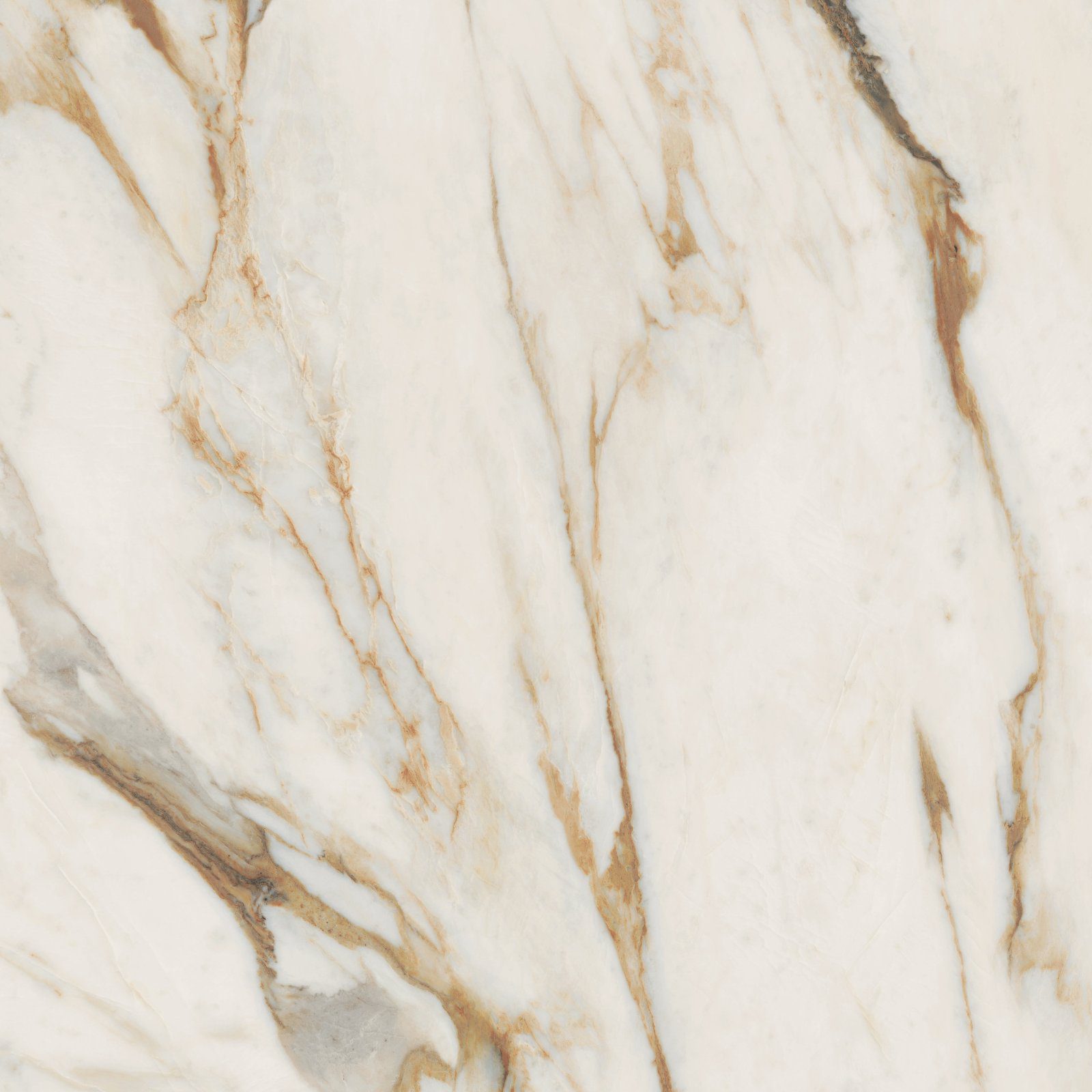 Marble effect porcelain tiles ABK Sensi Signoria Calacatta Vena Oro, 120x120 cm, 8.5 mm, natural matt, slip-resistant R10
