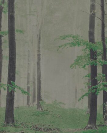 Patterned large porcelain decor slab ABK Wide&Style Woods B, 160x320 cm, 6 mm, matt