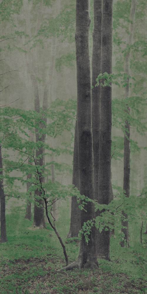 Patterned large porcelain decor slab ABK Wide&Style Woods C, 160x320 cm, 6 mm, matt