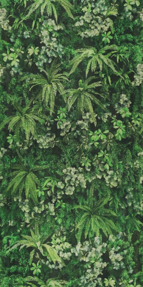Patterned large porcelain decor slab ABK Wide&Style Secret Garden, 160x320 cm, 6 mm, matt