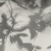 abk-wsrto-0012582-2