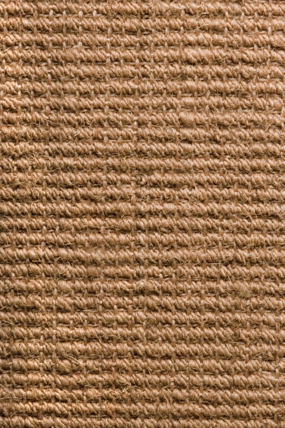 Coir Carpet Tasibel Cocos 2918 Coir Carpet Tasibel Cocos 2918
