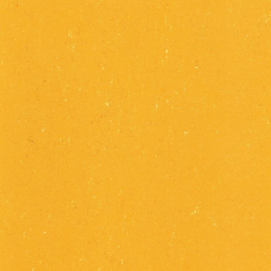 Linoleum floor Gerflor Colorette 0171 Sunrise Orange Linoleum floor Gerflor Colorette 0171 Sunrise Orange