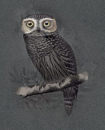 Patterned large porcelain décor panel ABK Moooi Special Edition Hypnotic Owl, 120x280 cm, 6 mm, natural matt