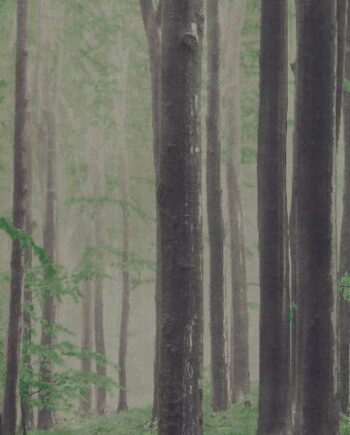 Patterned large porcelain decor slab ABK Wide&Style Woods A, 120x280 cm, 6 mm, matt