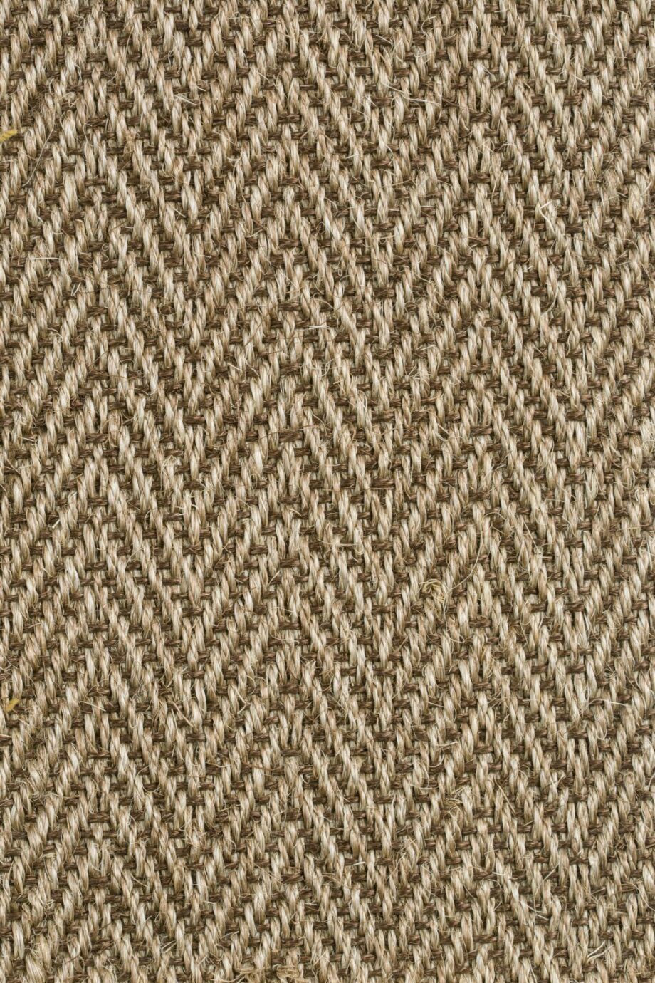 Sisal Carpet Tasibel Bellevue 1414/21 Sisal Carpet Tasibel Bellevue 1414/21
