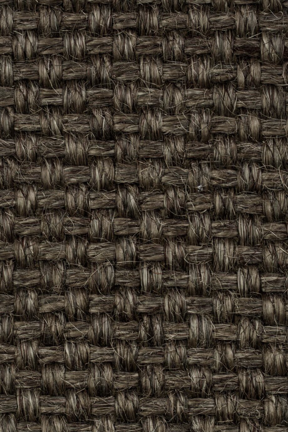 Sisal Carpet Tasibel Colora 2853/20 Sisal Carpet Tasibel Colora 2853/20