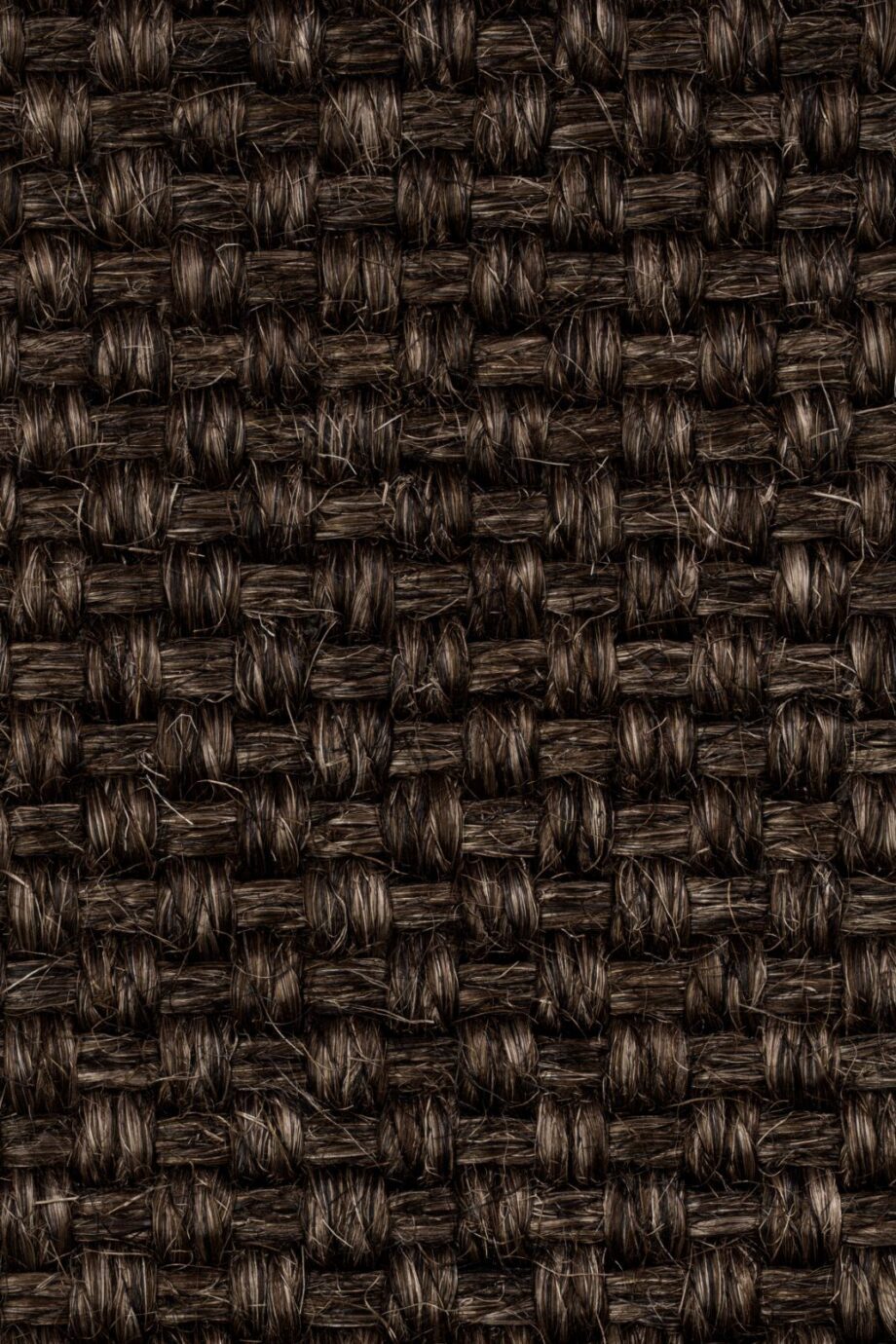 Sisal Carpet Tasibel Colora 2854/20 Sisal Carpet Tasibel Colora 2854/20