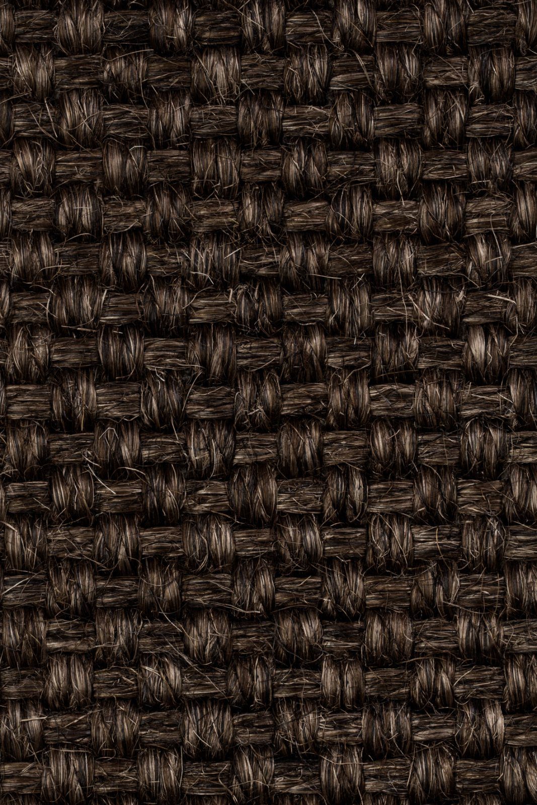 Sisal Carpet Tasibel Colora 2854/20