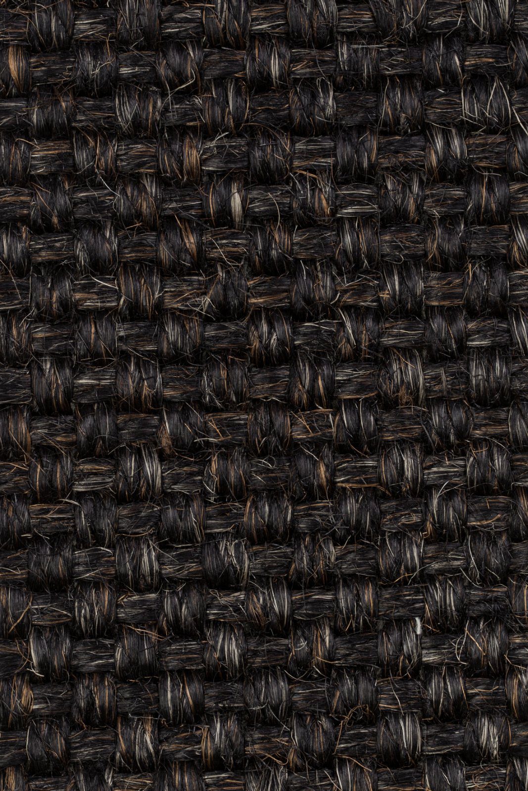 Sisal Carpet Tasibel Colora 2855/20