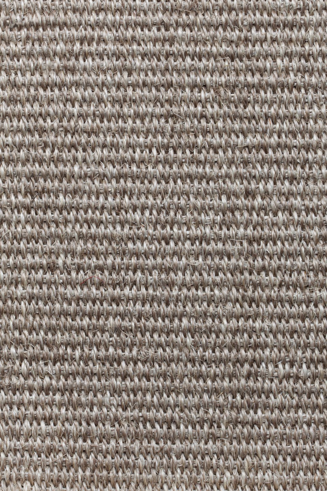 Sisal Carpet Tasibel Urban Plus 2213/21