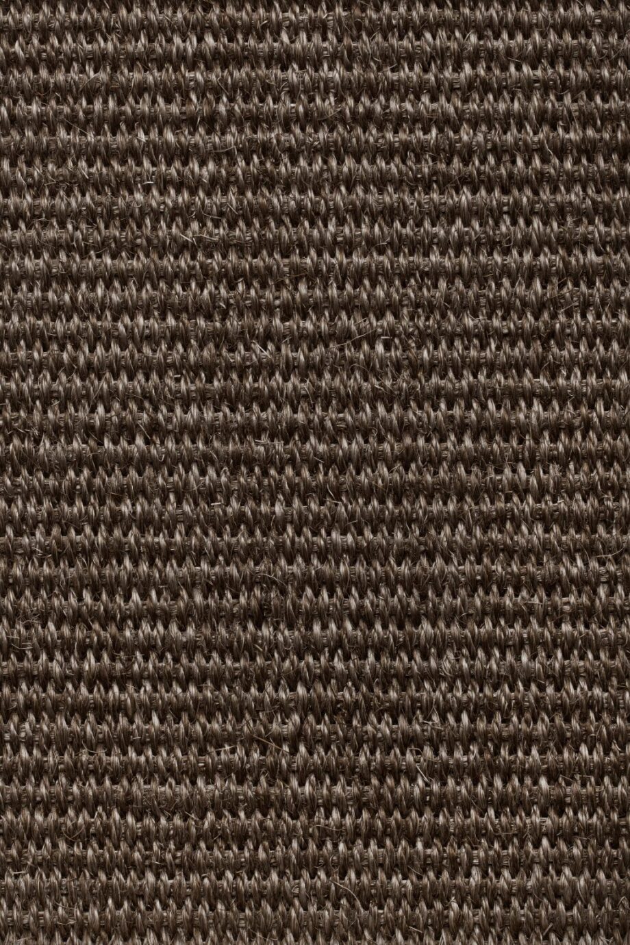 Sisal Carpet Tasibel Urban Plus 2216/21 Sisal Carpet Tasibel Urban Plus 2216/21