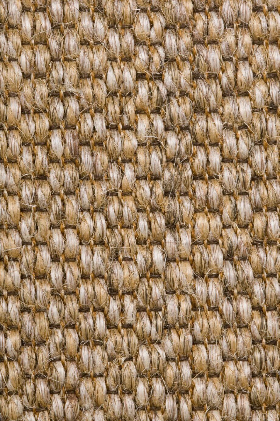 Sisal Carpet Tasibel Zambesi 2060/19/20