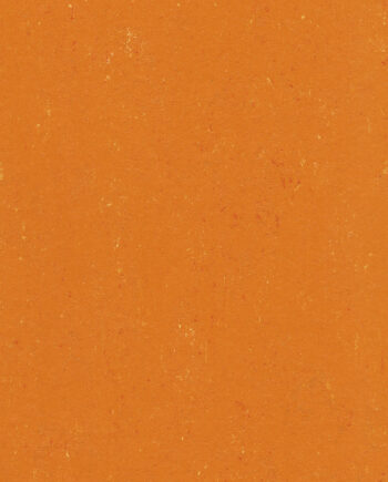 1567_7008_linoleum-colorette-pur-137-170