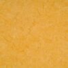 1701_2083_121-072_Golden_Yellow 1701_2083_121-072_Golden_Yellow