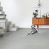 LVT Vinyl QUICK STEP, Ambient Click Plus, Minimal Light Grey, beveled – 9