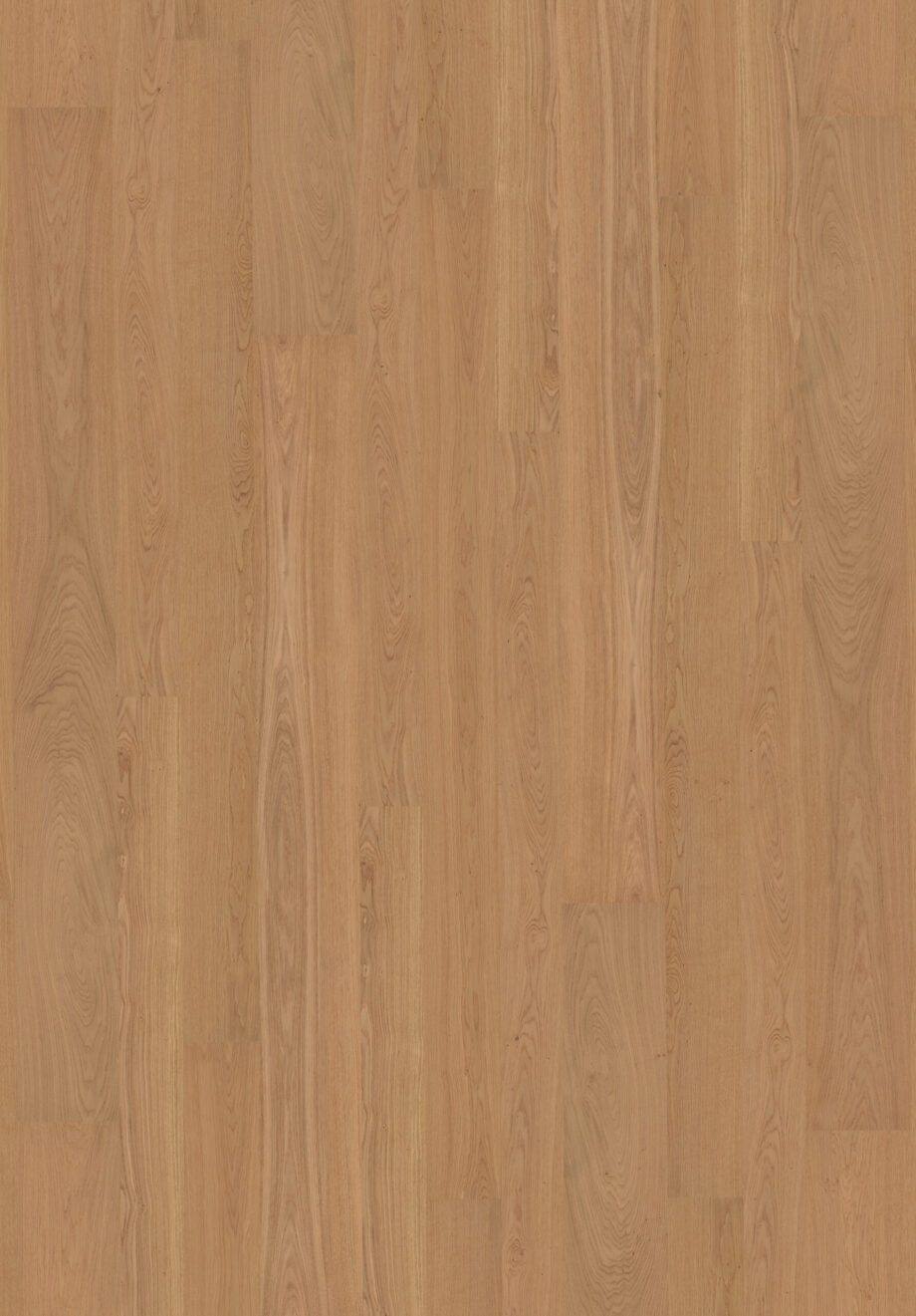 Parquet Oak Sup 4 sides beveled, brushed, matt lacquered