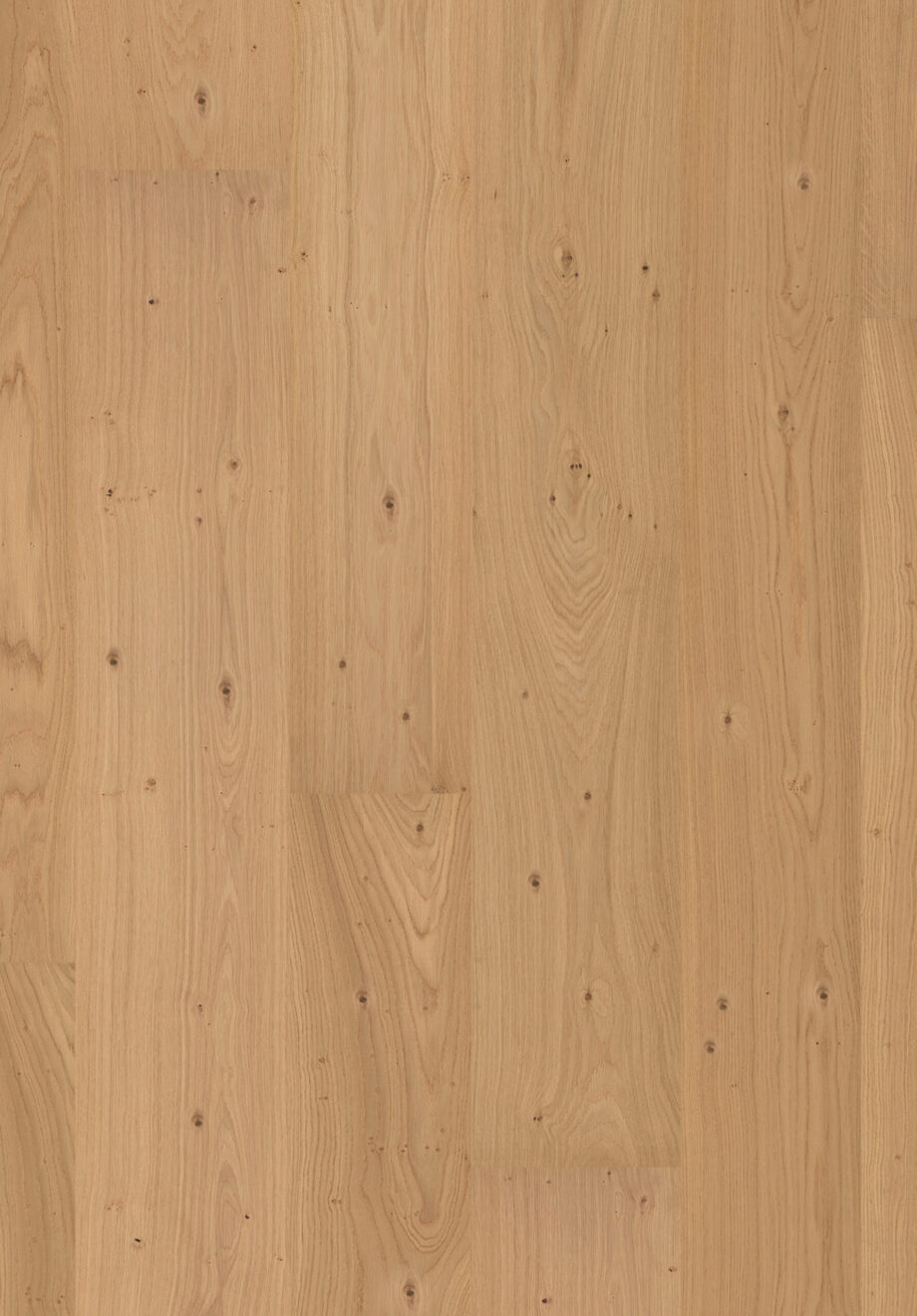 Parquet Oak Sel 4 sides beveled, brushed, matt lacquered