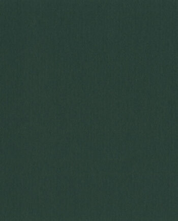 5001_11257_linoleum-gerflor-uni-walton-0035-racing-green