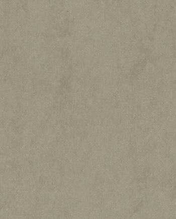 5025_11386_linoleum-gerflor-lino-art-urban-0550-beton-soft-grey