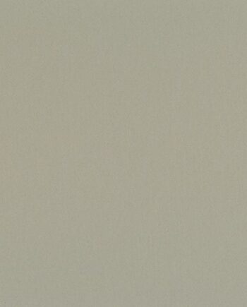 Linoleum floor Gerflor Uni Walton 0085 Warm Concrete Grey