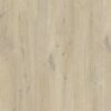 Vinüülparkett Quick-Step Bloom Cotton Oak Beige heleda kergelt hallika tooniga ja rustikaalse tammelaua disainiga.