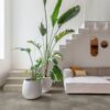 vinyl-flooring-tiles-quick-step-cloudy-concrete Vinyl flooring tiles Quick.Step Illume Cloudy concrete installed on a living room floor. Same color and design flooring skirtings. Sofa, green plants and stairs.