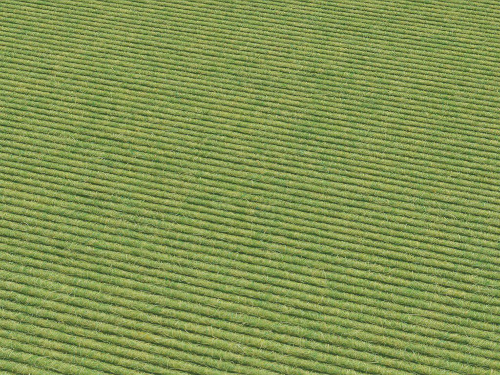 Carpets from cashmere goat wool Tretford Interland 622 Wasabi