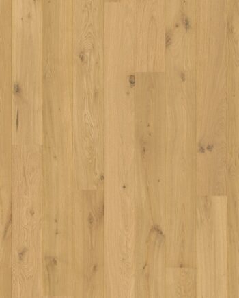 Engineered oak flooring Quick-Step Amato Pure Oak extra matt lacquered, waterproof 145mm