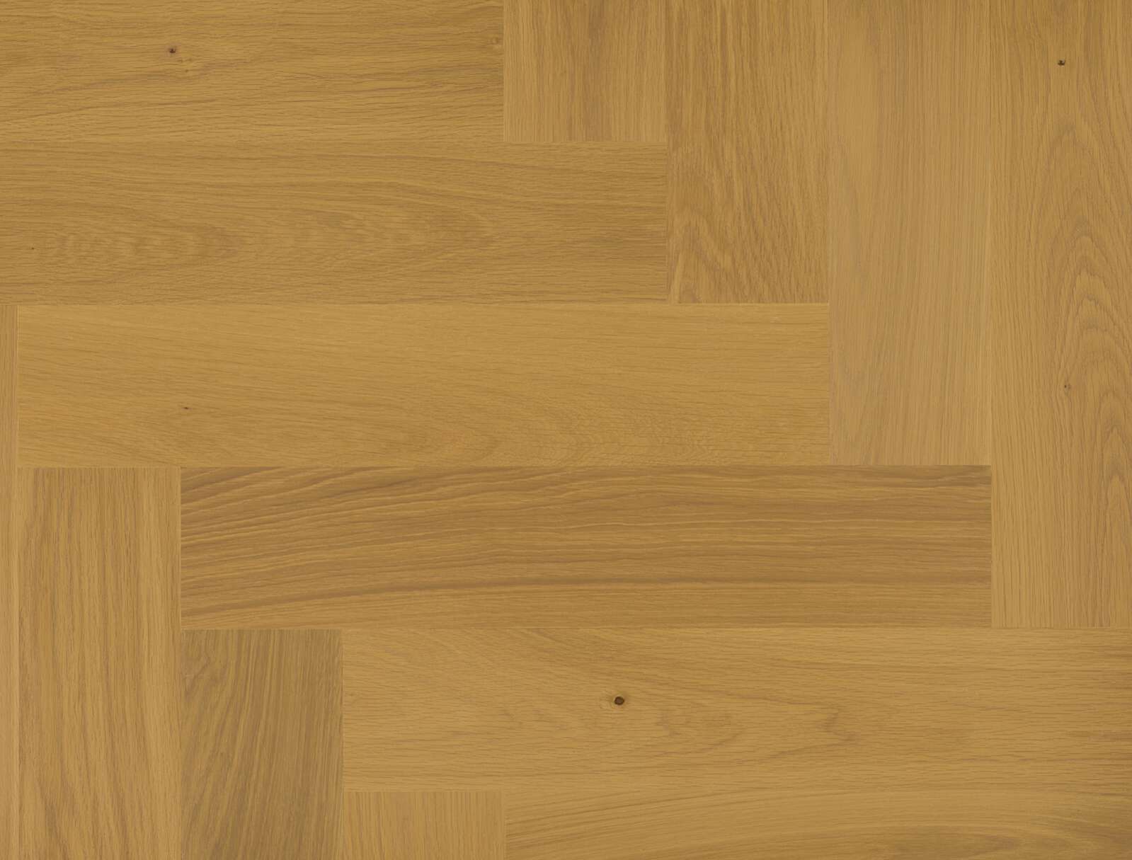 Engineered Wooden Flooring Bauwerk Formpark Quadrato Oak Mandorla 14 oiled