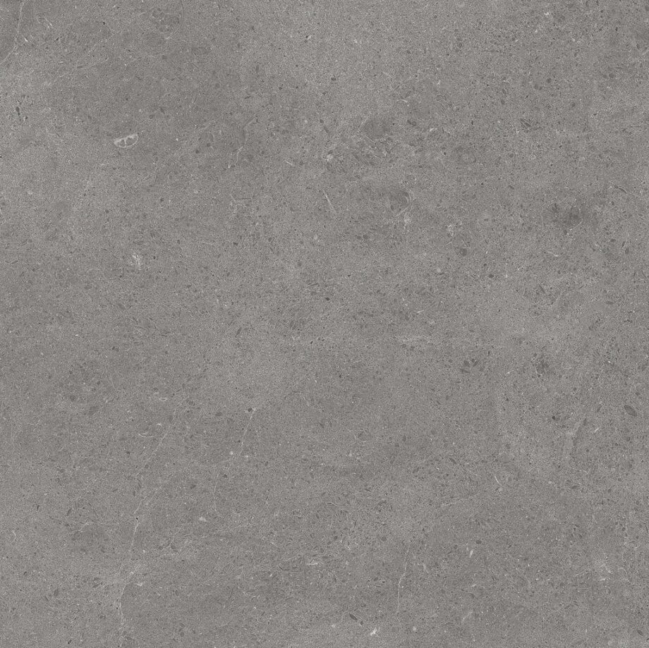 Floor tiles Tau Serenastone Gray mat rec
