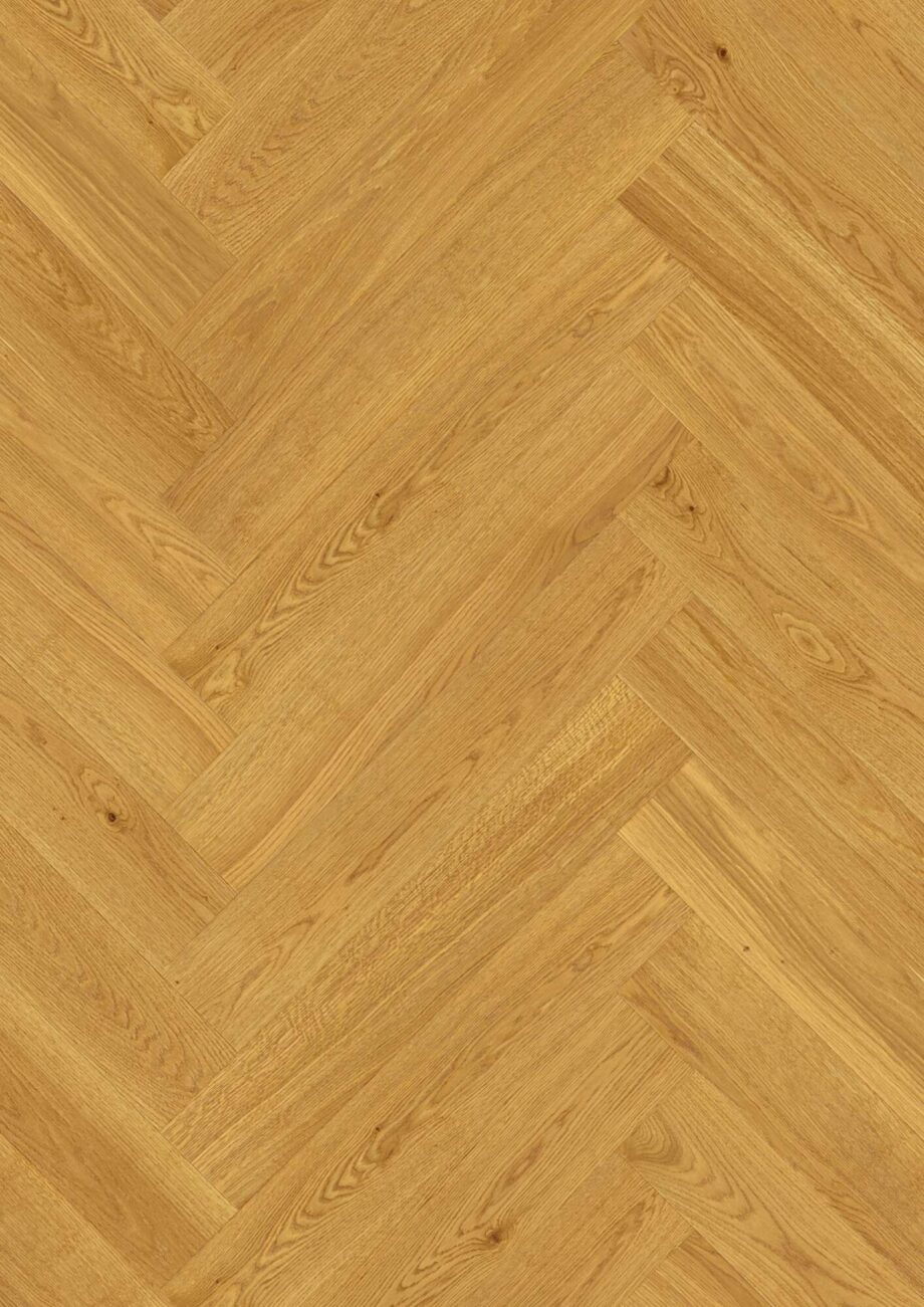 Herringbone Flooring Bauwerk Vectorpark Oak Nature 14 matt lacquered
